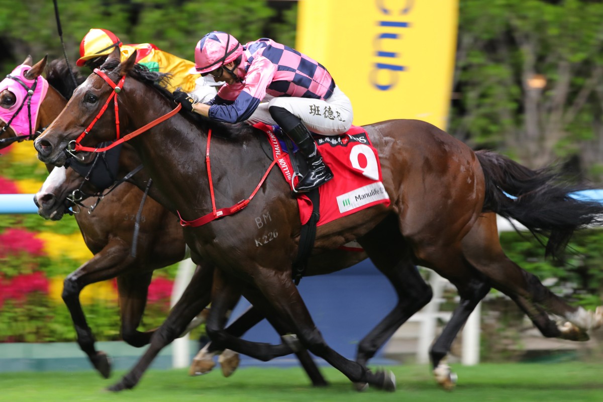 Harry Bentley drives Wrote A New Page (outside) to victory last month. Photos: Kenneth Chan