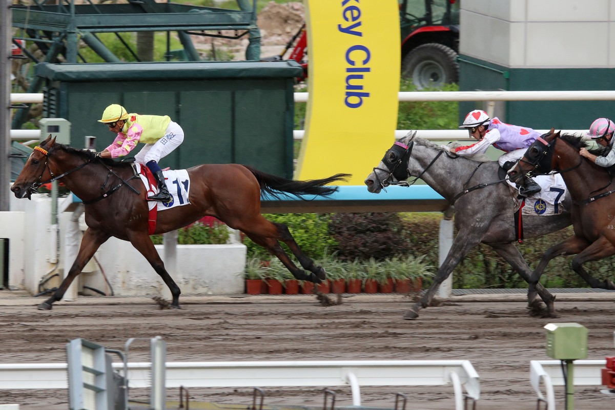 Sing Dragon leads home a Mark Newnham trifecta ahead of Talents Ambition and Mojave Desert. Photos: Kenneth Chan