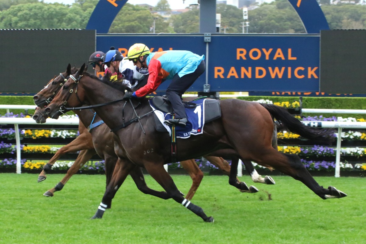 Ka Ying Rising finishes third in a 1,000m barrier trial at Randwick on Tuesday morning. Photo: HKJC