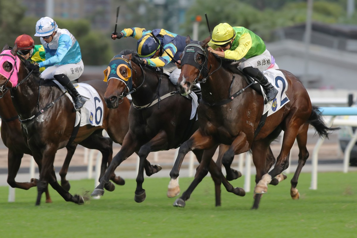 Tomodachi Kokoroe (right) outlasts Lady’s Choice at Sha Tin on Sunday. Photos: Kenneth Chan