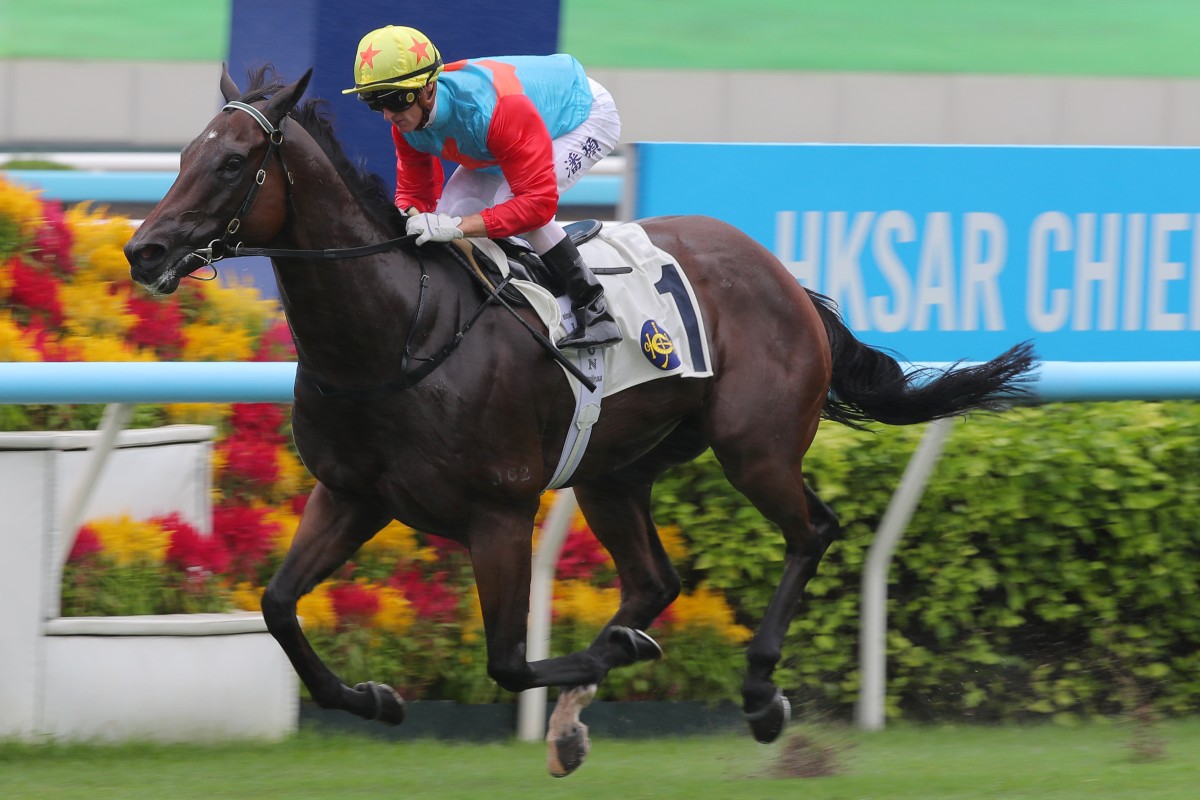 Ka Ying Rising is in top shape ahead of this Saturday’s Group One The Everest (1,200m). Photo: Kenneth Chan