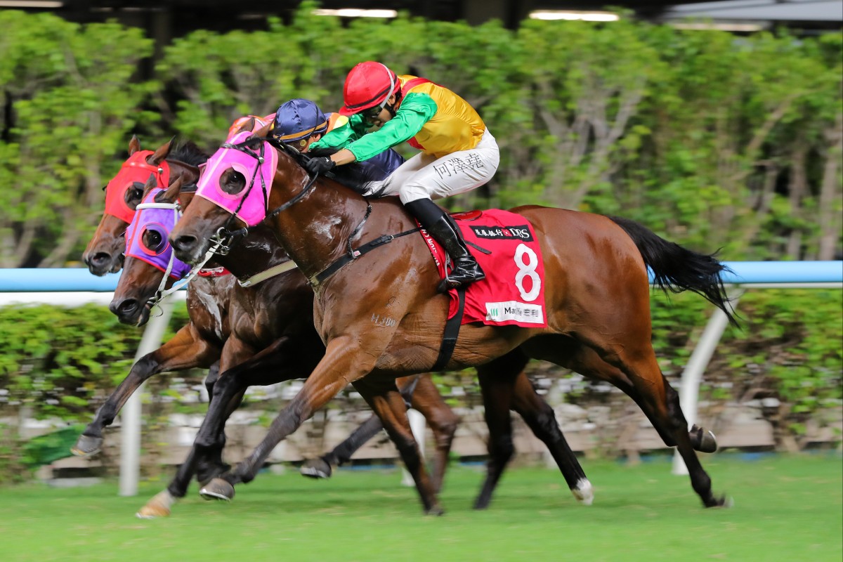 Speed Dragon gets up in the last strides under Vincent Ho. Photo: Kenneth Chan
