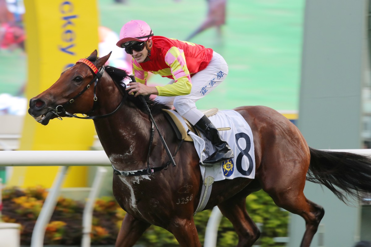 My Wish makes a winning Group Three return. Photo: Kenneth Chan