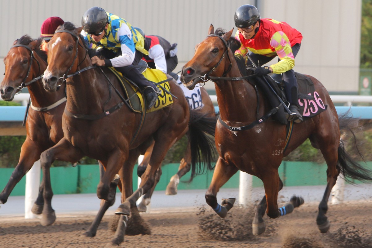 Alexis Badel guides My Wish (centre) to victory in a dirt trial last week. Photos: Kenneth Chan