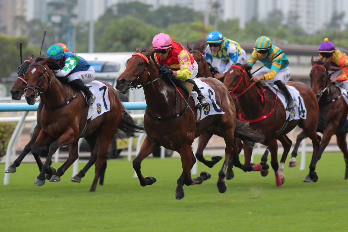 My Wish and Alexis Badel a class apart at Sha Tin. Photos: Kenneth Chan
