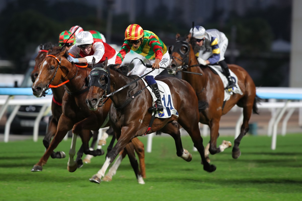 Karis Teetan guides Fortune Boy to an exciting win. Photo: Kenneth Chan