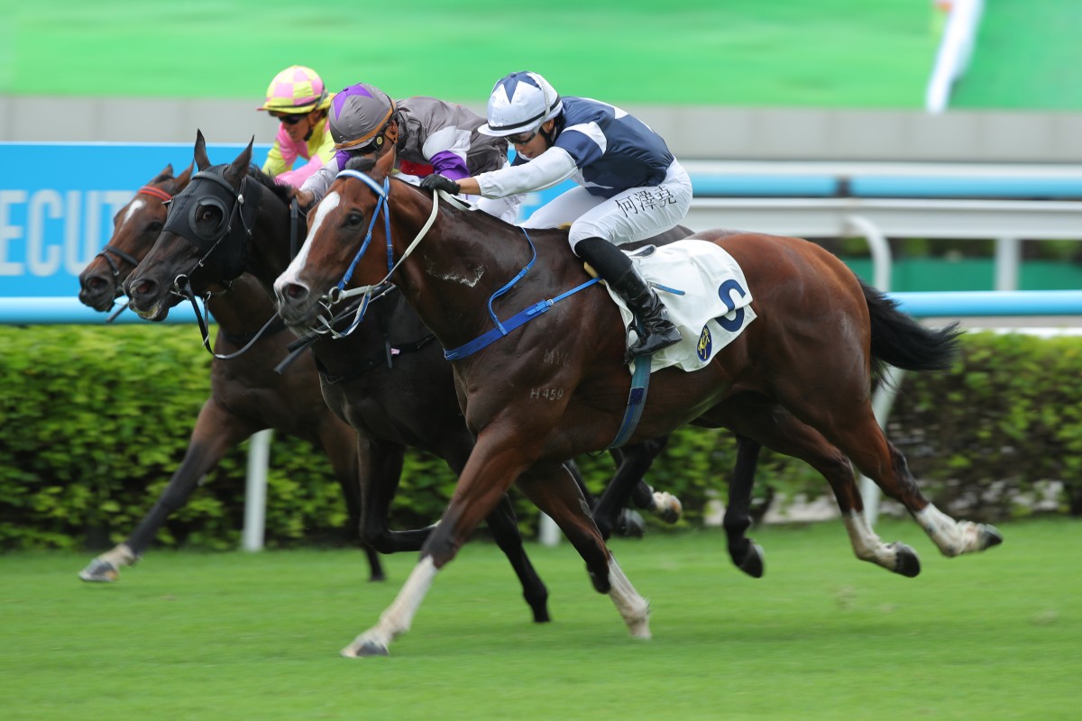 The Heir salutes at Sha Tin on the opening day of this season. Photos: Kenneth Chan