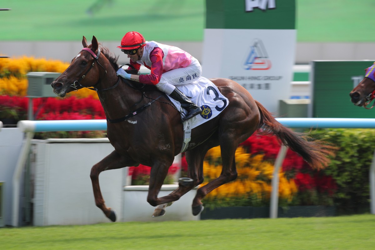 The impressive Ever Luck sails home under James Orman to salute at Sha Tin on Sunday. Photos: Kenneth Chan