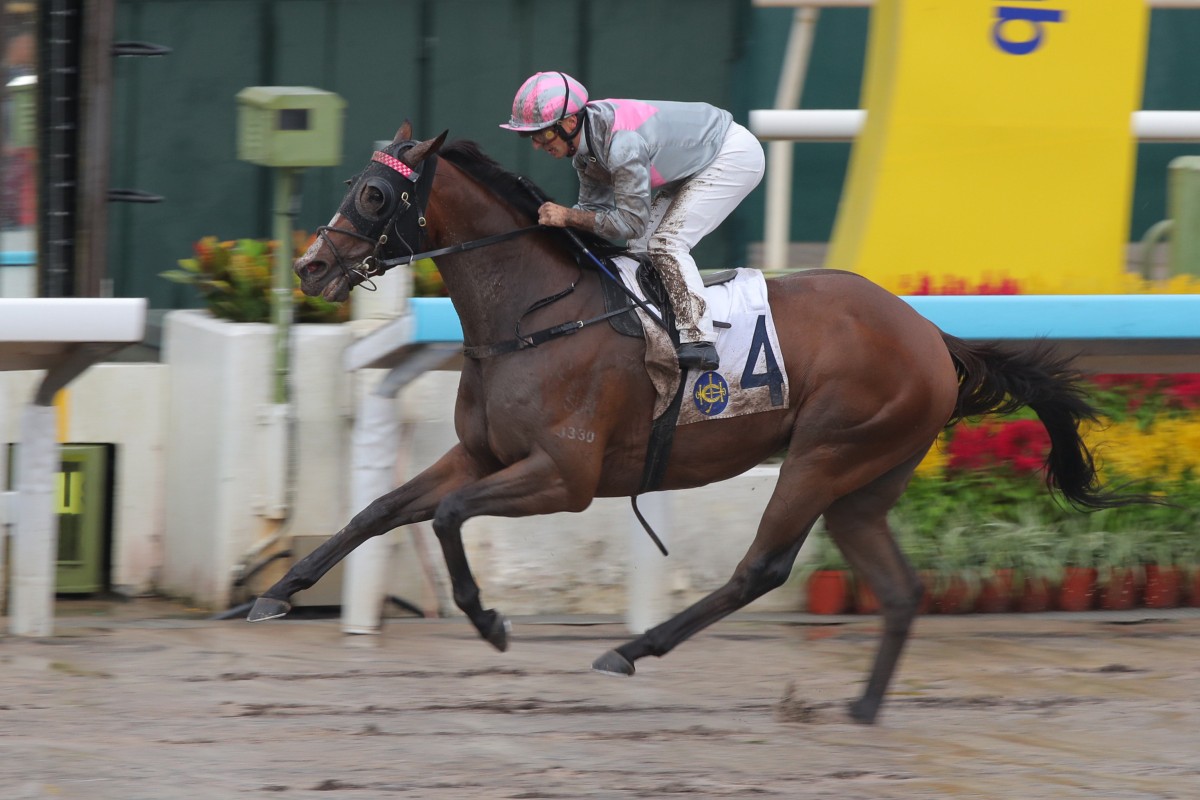 Mojave Desert bolts in on the dirt under Andrea Atzeni. Photos: Kenneth Chan
