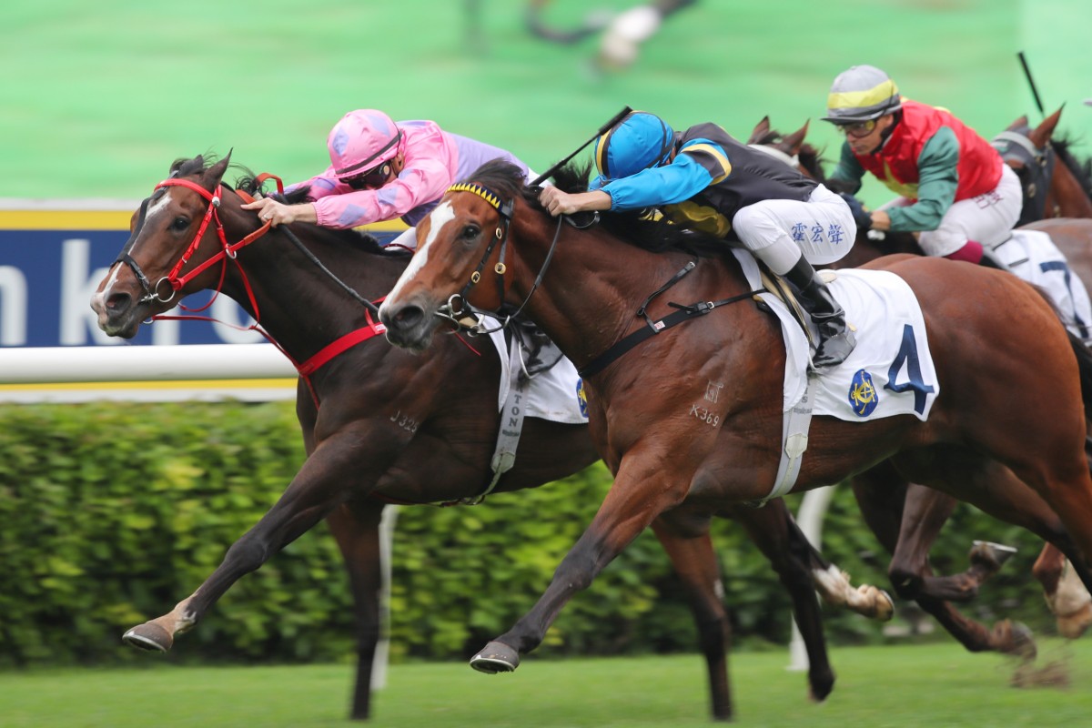 Masterofmyuniverse wins at Sha Tin last season. Photos: Kenneth Chan