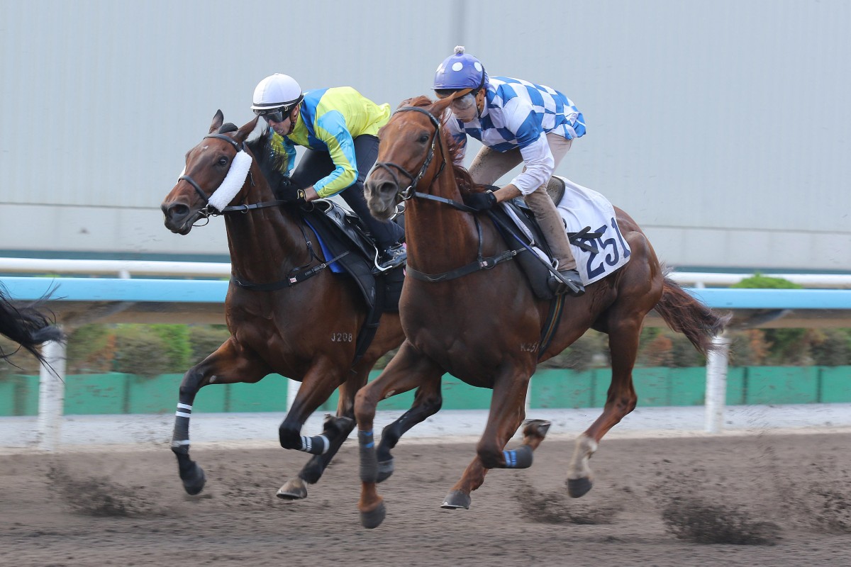 Massive Sovereign (left) and Snowfield trial at Sha Tin. Photos: Kenneth Chan