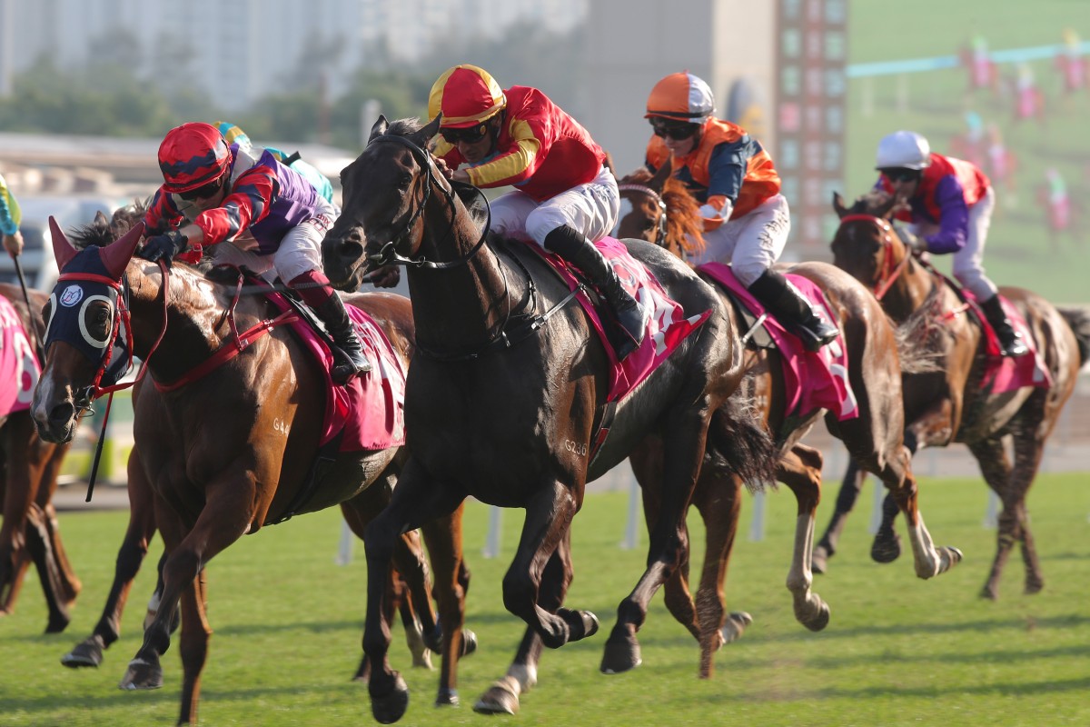 Encountered wins the Group Three Sa Sa Ladies’ Purse (1,800m) under Karis Teetan. Photos: Kenneth Chan