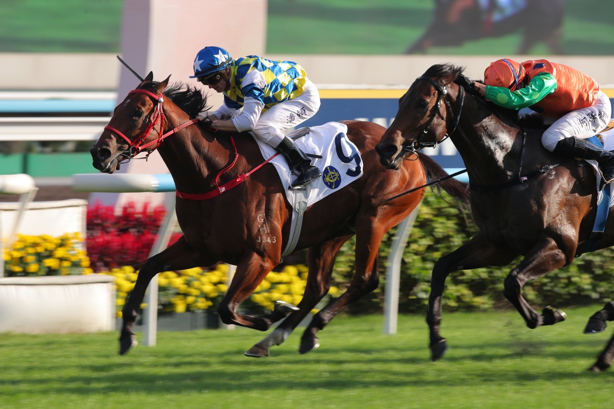 Patch Of Stars fends off Invincible Shield to score at Sha Tin. Photos: Kenneth Chan