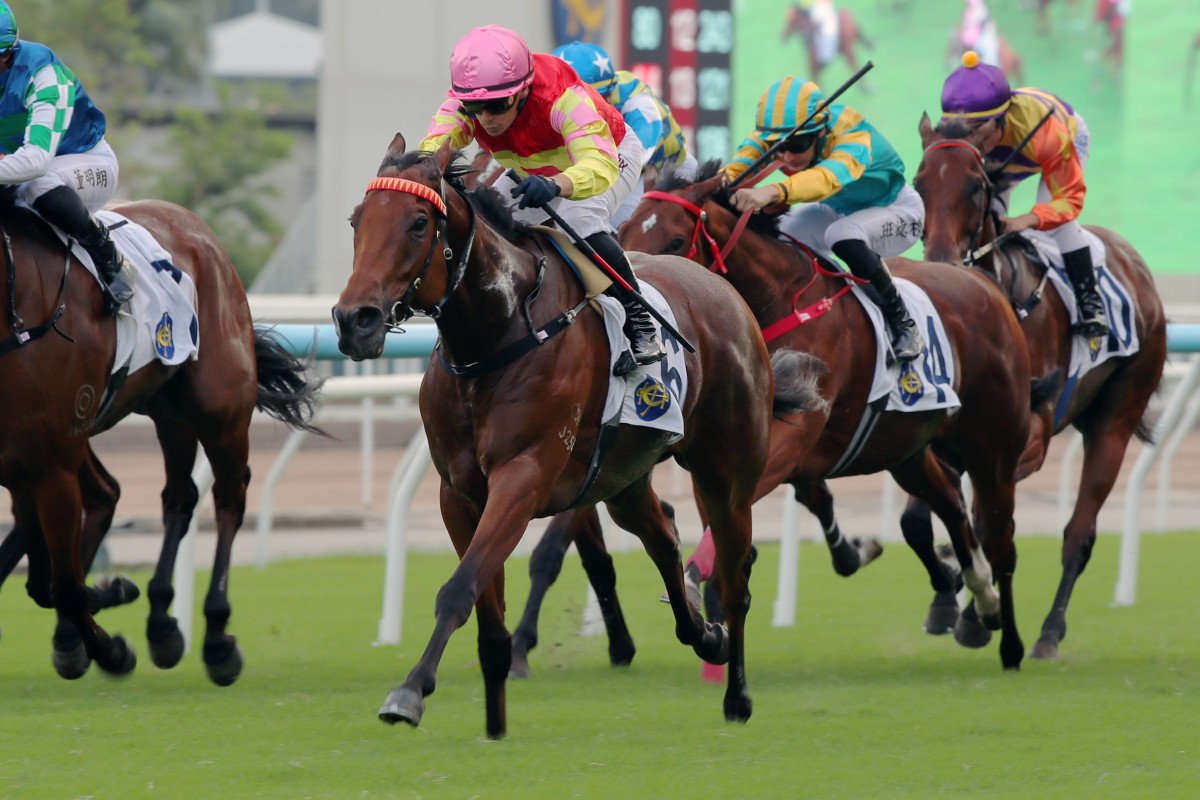 My Wish snares last month’s Group Two Sha Tin Trophy (1,600m). Photos: Kenneth Chan