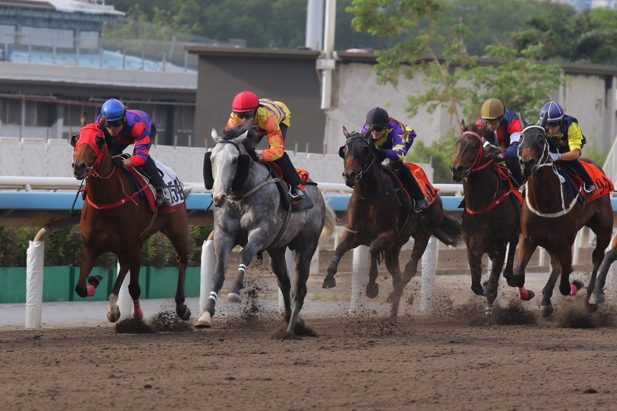 Public Attention (grey) trials at Sha Tin. Photos: Kenneth Chan
