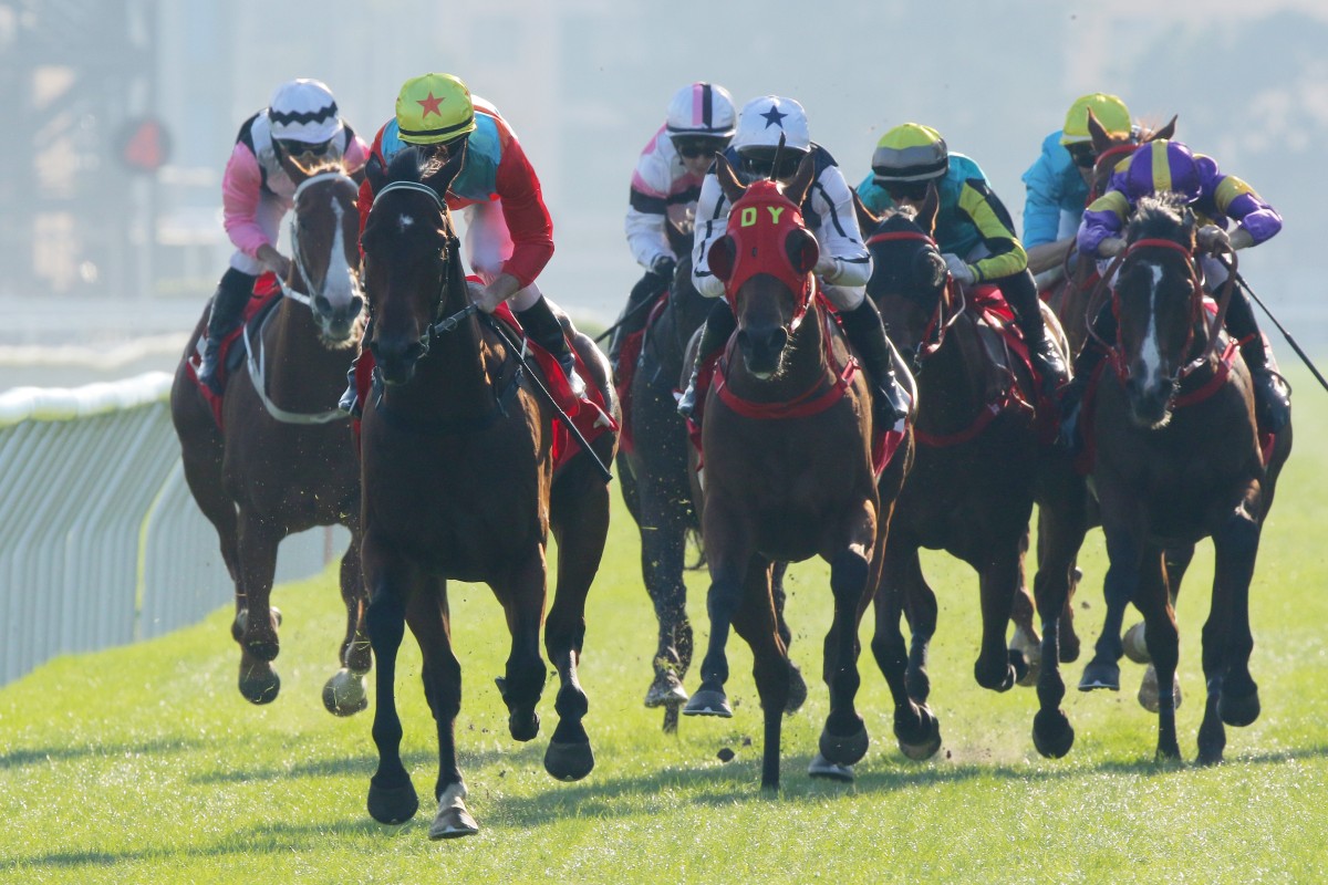 Ka Ying Rising (red sleeves) storms to yet another win at Sha Tin on Sunday. Photos: Kenneth Chan