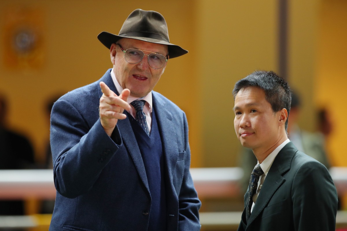 David Hayes is hoping for another big night at Happy Valley. Photos: Kenneth Chan