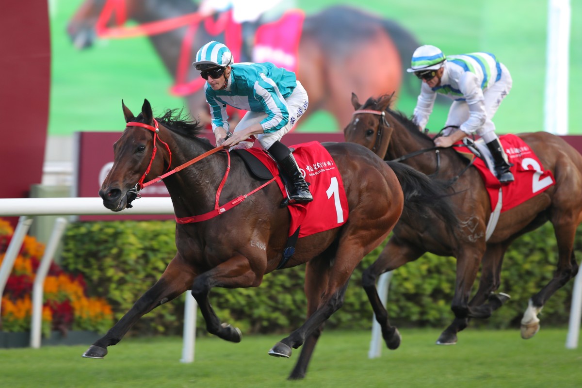 Romantic Warrior wins the weekend’s Group Two Jockey Club Cup (2,000m). Photo: Kenneth Chan