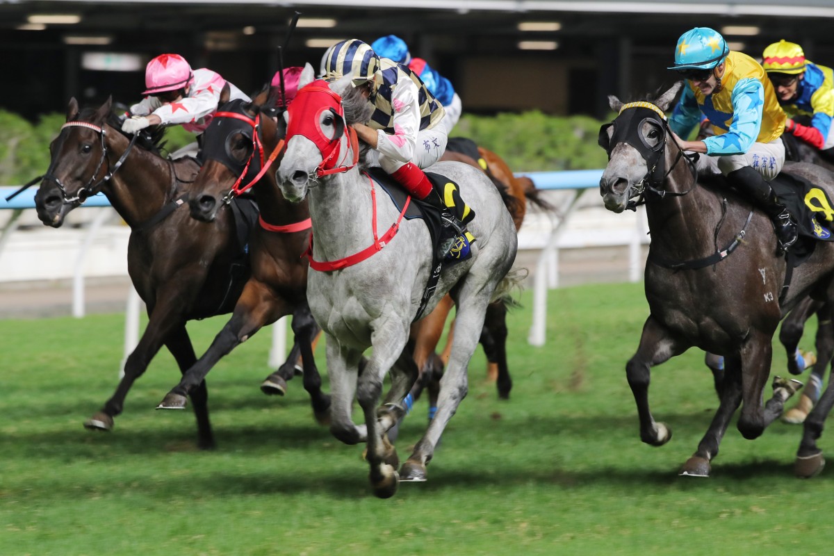 Allcash (grey) and Hugh Bowman win at Happy Valley. Photos: Kenneth Chan