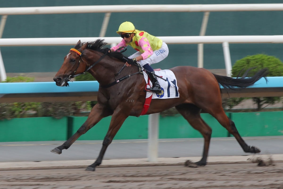 Karis Teetan boots home Sing Dragon on the dirt in October. Photos: Kenneth Chan