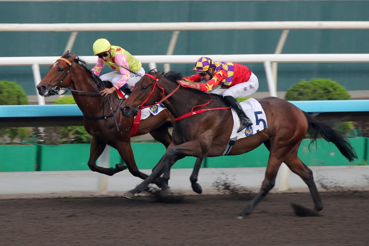 Hugh Bowman (outside) gets up late aboard Gorgeous Win at Sha Tin. Photos: Kenneth Chan