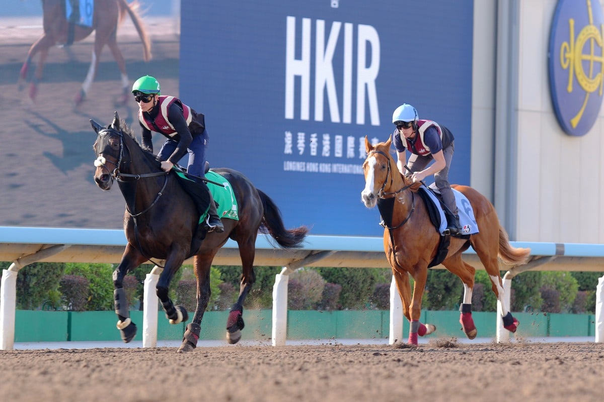 Al Riffa (left) and Galen gallop at Sha Tin. Photos: Kenneth Chan