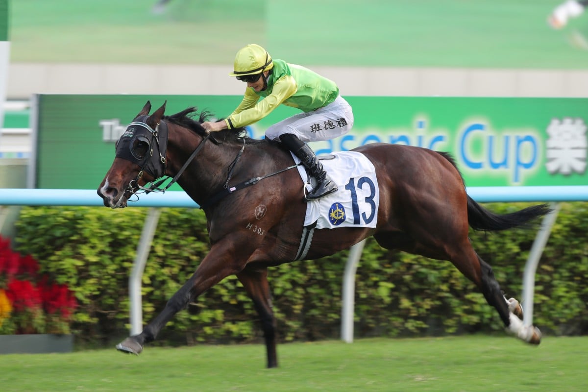Tomodachi Kokoroe has made a remarkable rise from winning in Far North Queensland to Sha Tin. Photo: Kenneth Chan