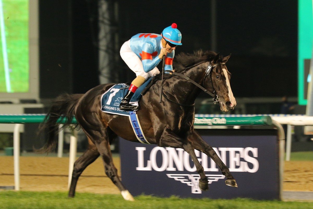 Christophe Lemaire is hoping to carry the Silk Racing colours to victory at Sha Tin this weekend. Photos: Kenneth Chan