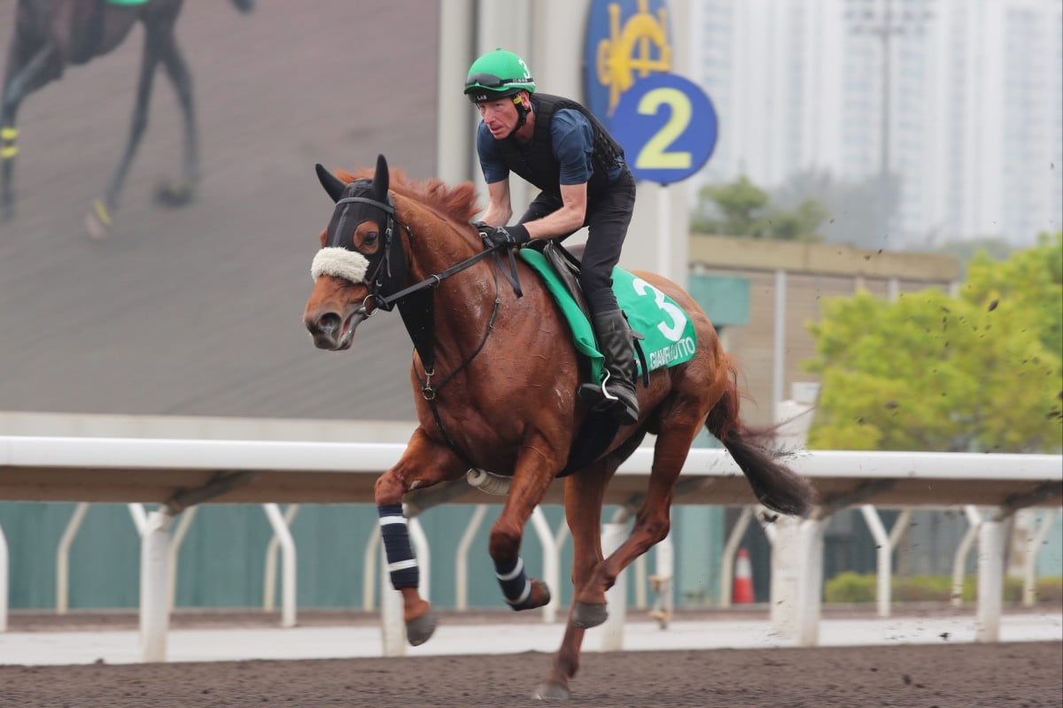 Giavellotto gallops on the Sha Tin dirt on Wednesday morning. Photos: Kenneth Chan