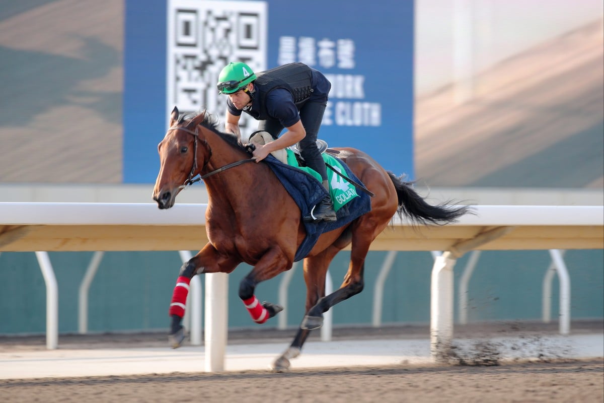 Goliath tunes up on the Sha Tin dirt. Photos: Kenneth Chan