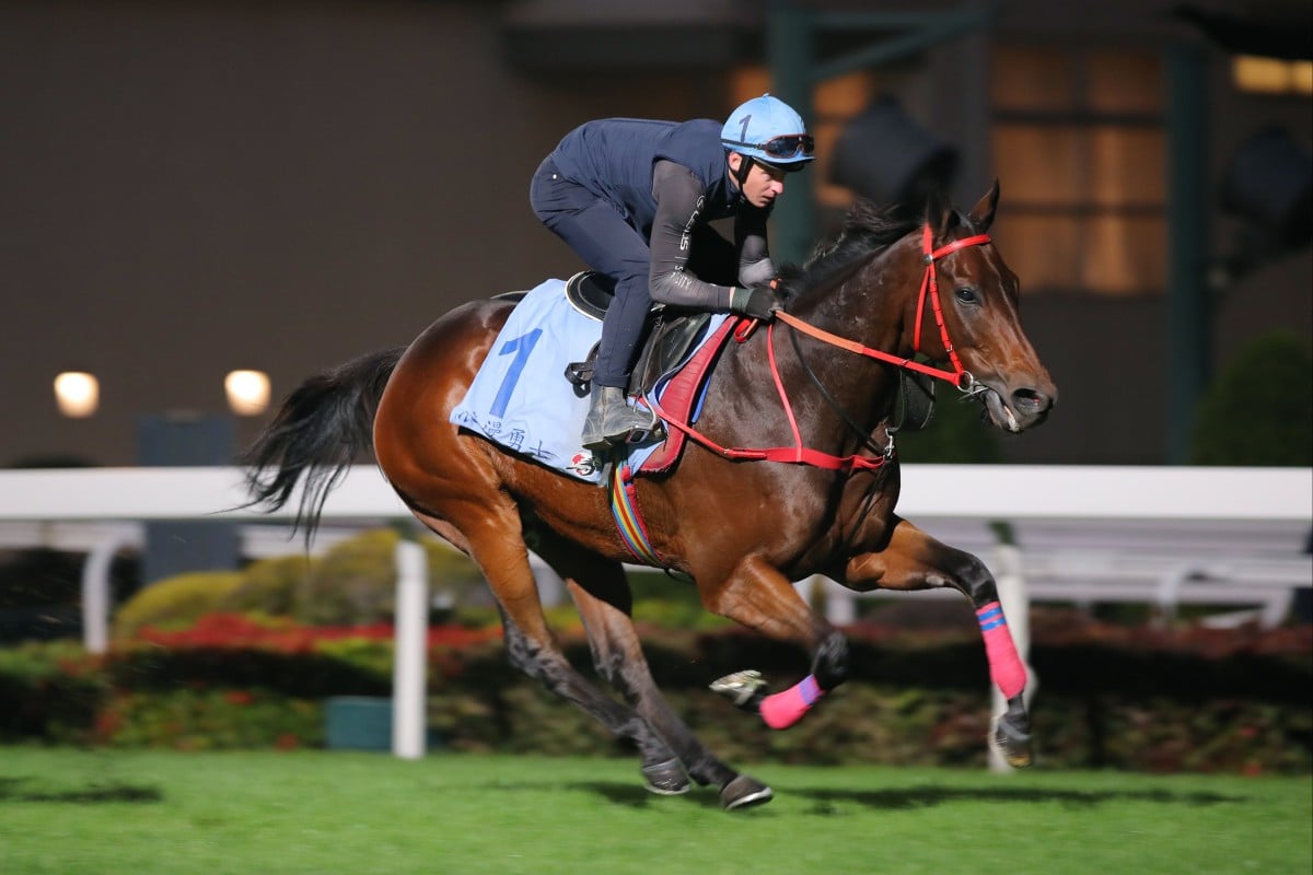 Romantic Warrior gallops on the Sha Tin turf on Tuesday morning. Photos: Kenneth Chan