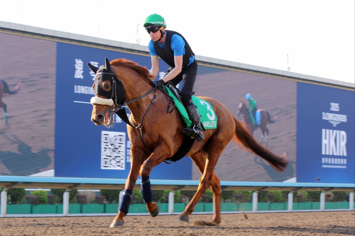 Giavellotto gallops at Sha Tin earlier this week. Photos: Kenneth Chan