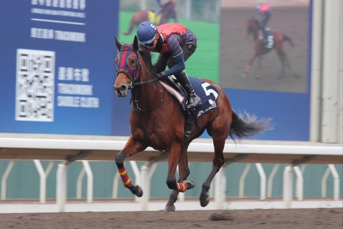 Embroidery gallops on the Sha Tin dirt earlier this week. Photos: Kenneth Chan