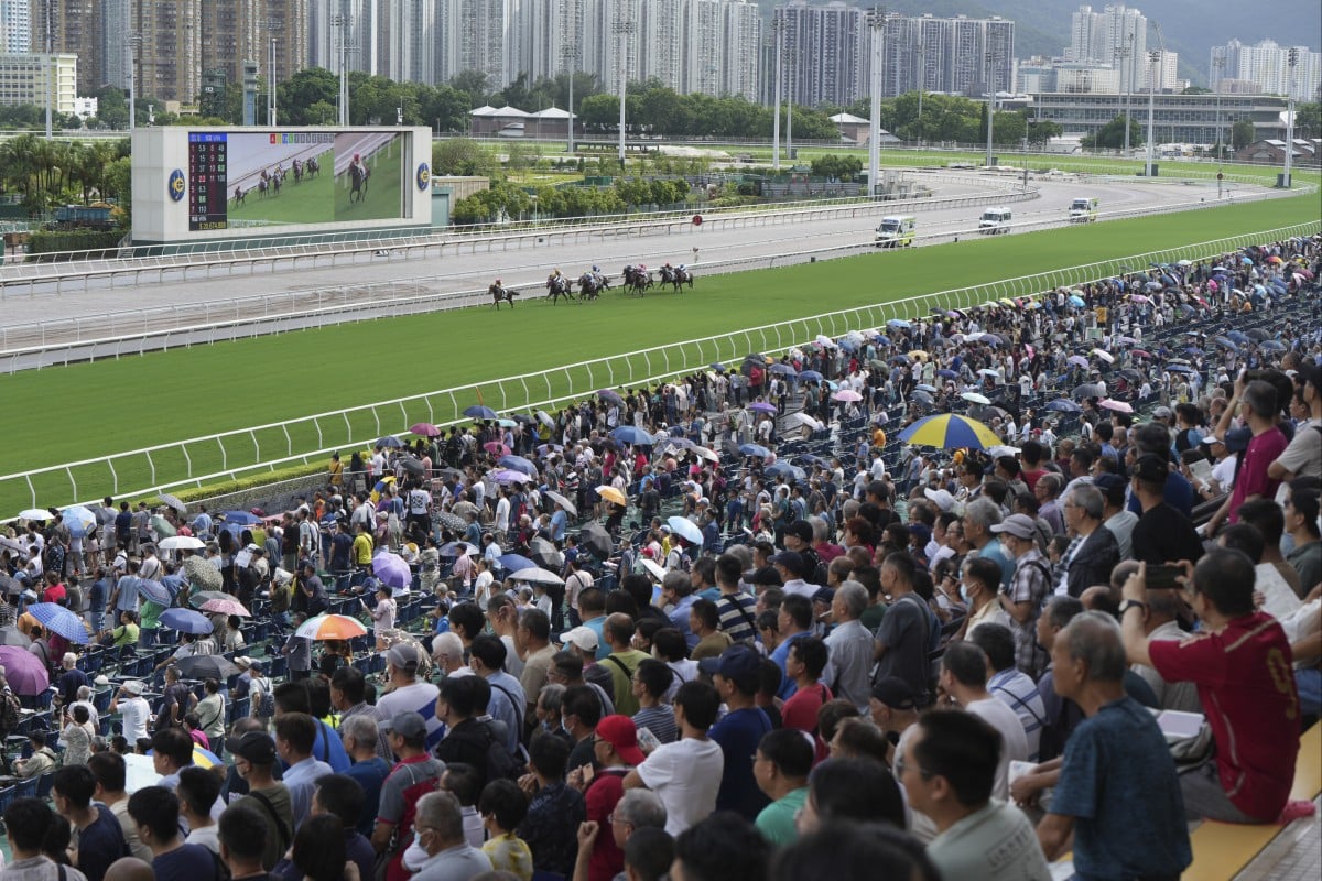 Sha Tin will be heaving on Sunday. Photo: Kenneth Chan