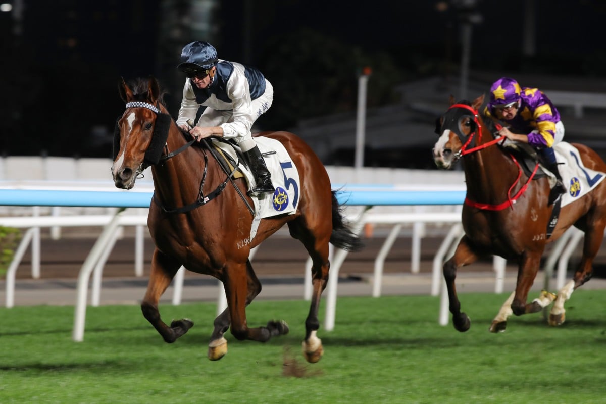 Invincible Ibis saunters to success at Sha Tin. Photos: Kenneth Chan