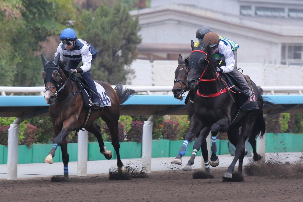 Winfield (left) trials at Sha Tin. Photos: Kenneth Chan