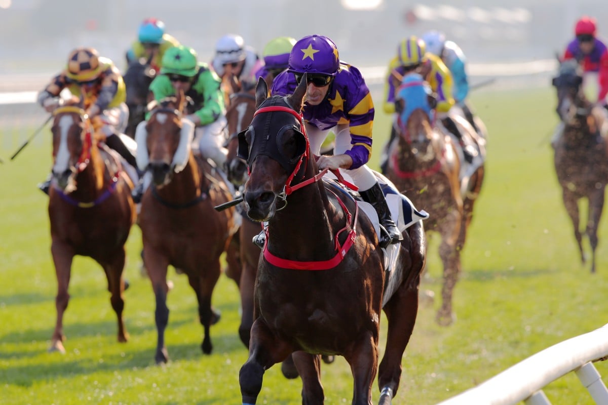 Andrea Atzeni and Stellar Express win at Sha Tin. Photos: Kenneth Chan