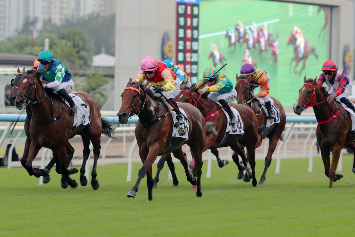 My Wish wins the Sha Tin Trophy under Alexis Badel. Photos: Kenneth Chan