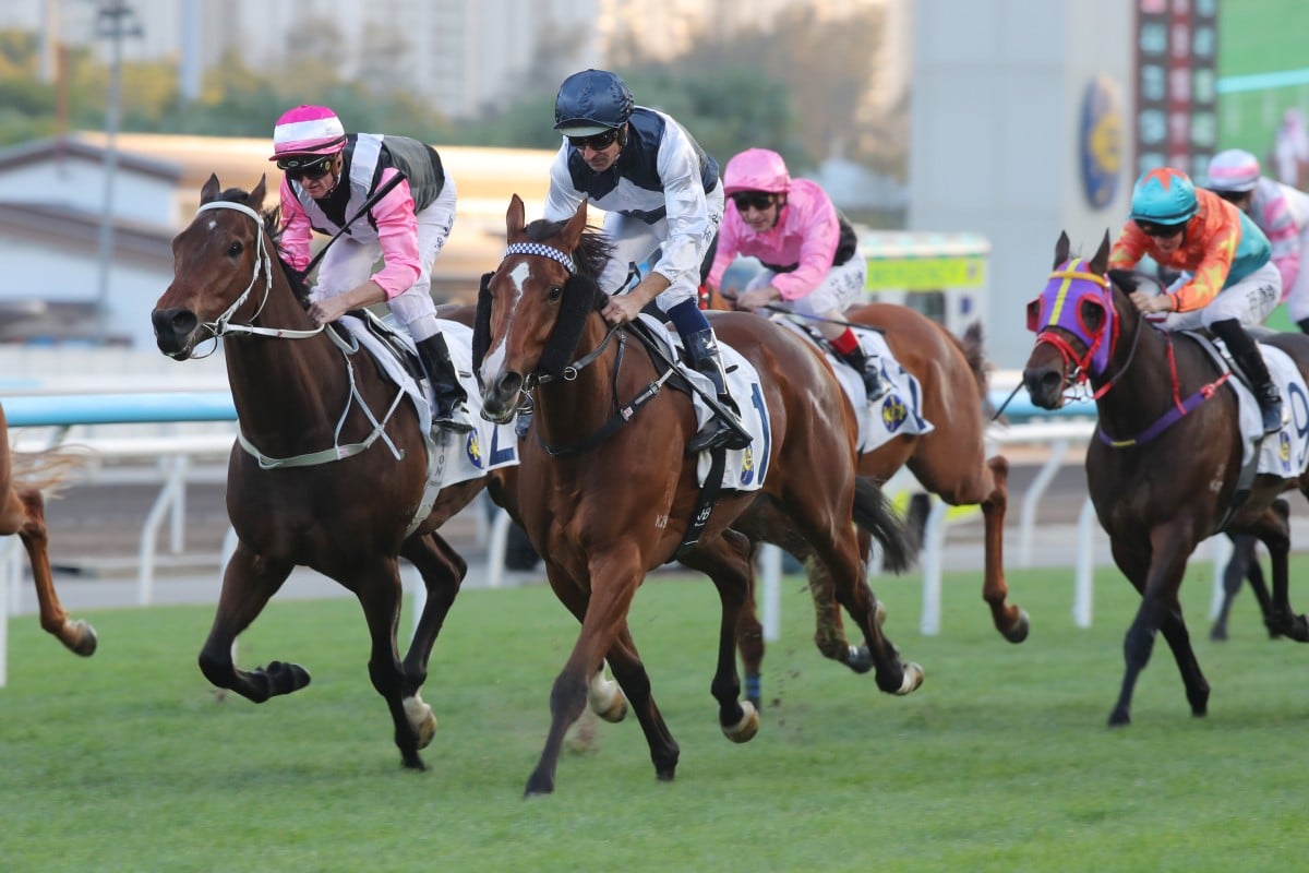 Invincible Ibis storms home under Hugh Bowman to notch a fourth straight win. Photos: Kenneth Chan