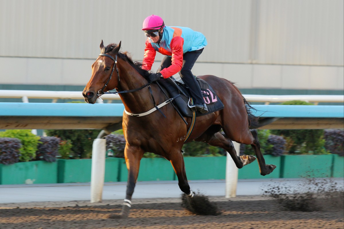 Ka Ying Rising trials impressively at Sha Tin. Photos: Kenneth Chan
