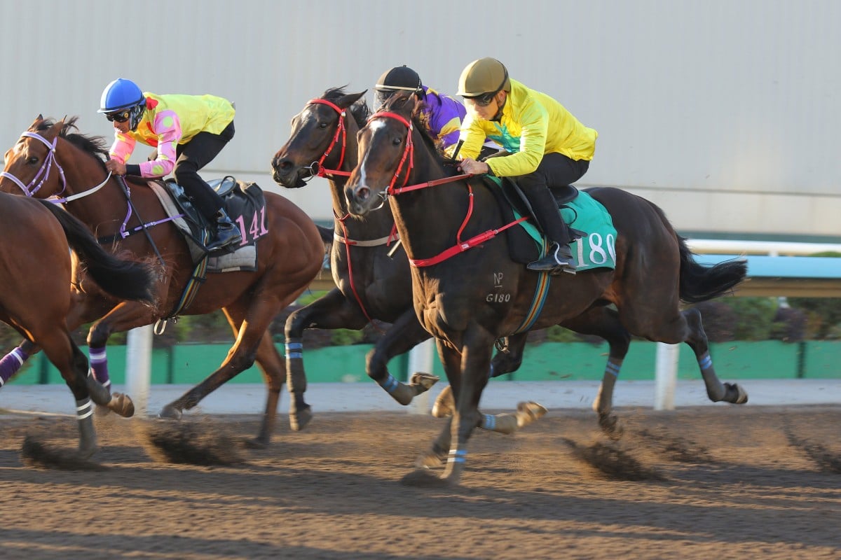 Lucky Sweynesse runs on for third in a recent dirt trial ahead of Sunday’s Stewards’ Cup. Photos: Kenneth Chan