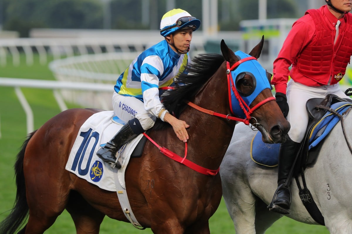 Matthew Chadwick gives Patch Of Cosmo a pat after his Sha Tin victory last March. Photos: Kenneth Chan