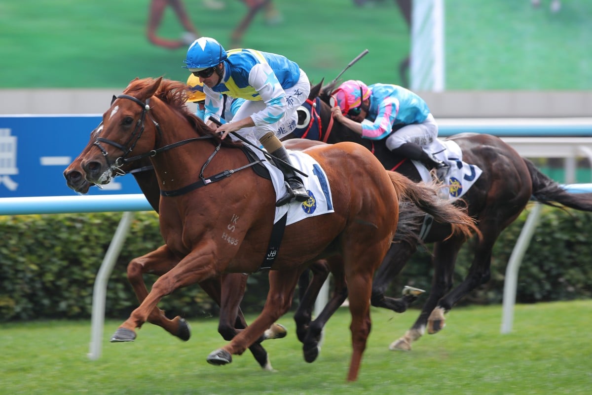 Hugh Bowman guides Patch Of Theta to victory. Photos: Kenneth Chan