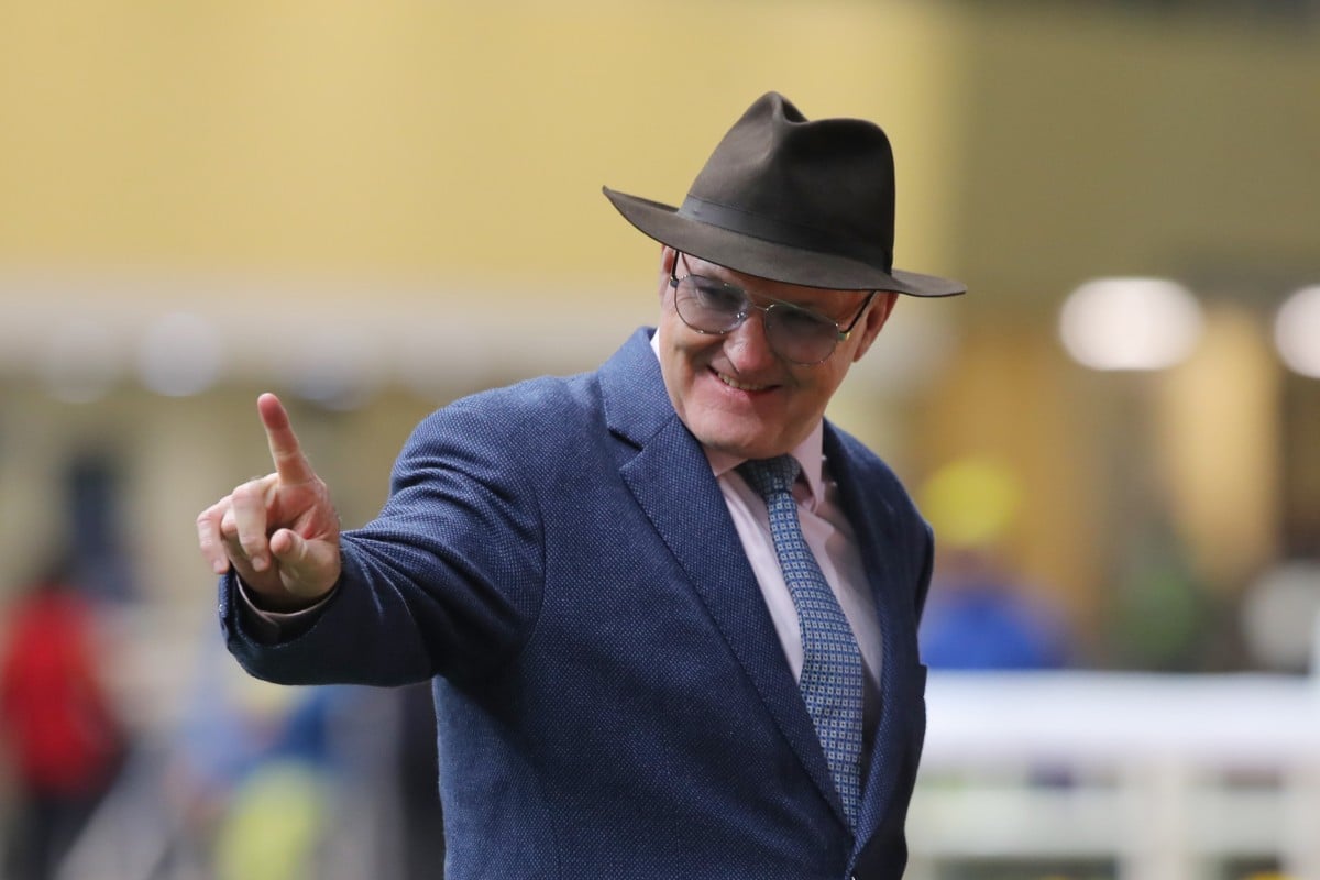 David Hayes celebrates a Happy Valley winner. Photos: Kenneth Chan