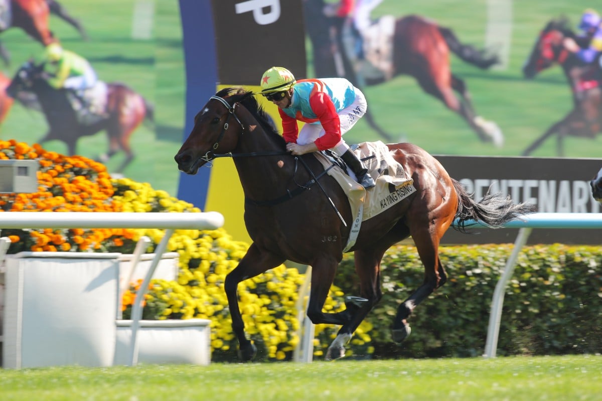 Ka Ying Rising cruises to victory under Zac Purton in the Group One Centenary Sprint Cup. Photos: Kenneth Chan