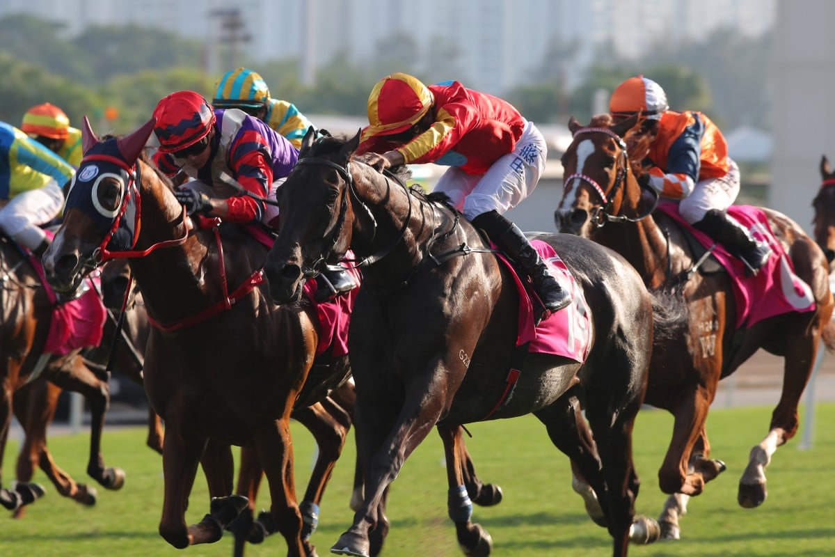 Karis Teetan lifts Encountered to victory in the Sa Sa Ladies’ Purse. Photos: Kenneth Chan