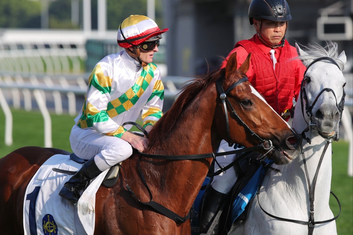 Zac Purton will again ride Sagacious Life in the Classic Cup. Photos: Kenneth Chan