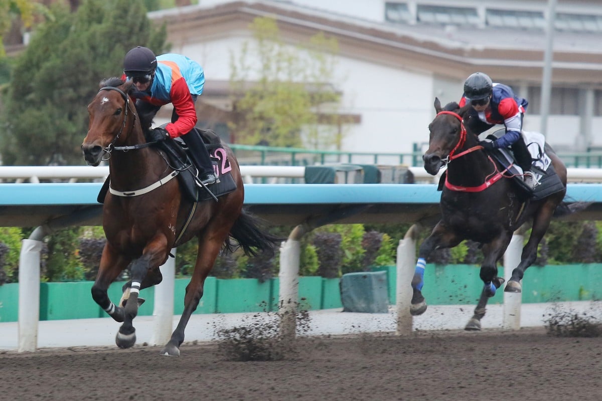 Ka Ying Rising wins a barrier trial at Sha Tin. Photos: Kenneth Chan