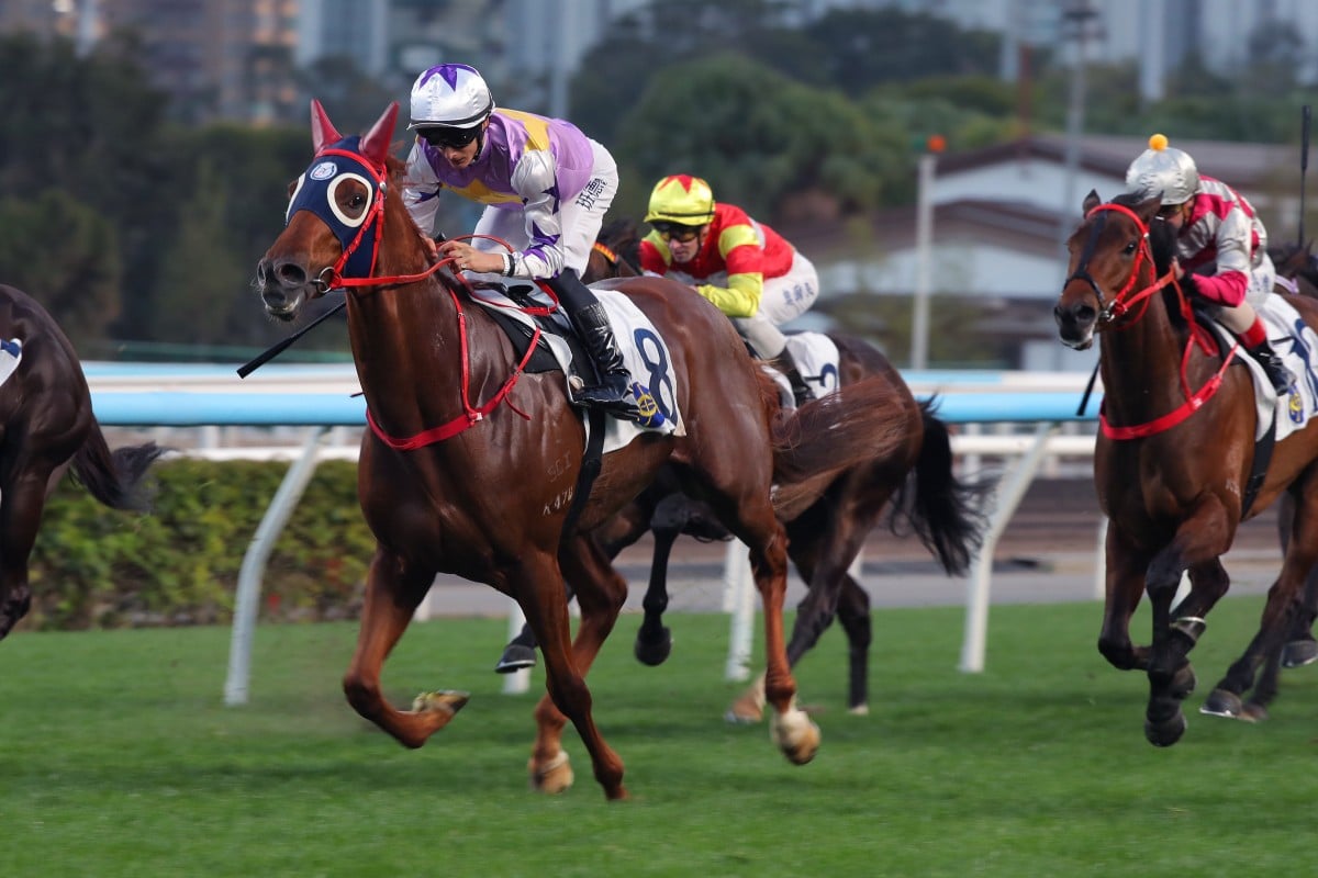 Harry Bentley boots home Stormy Grove at Sha Tin. Photos: Kenneth Chan