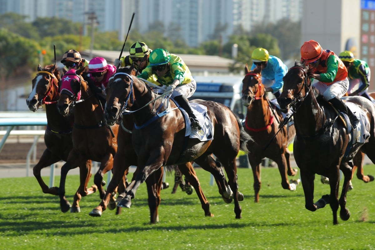 Sky Trust sticks his neck out at Sha Tin. Photos: Kenneth Chan